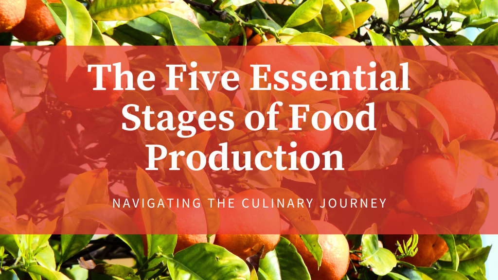 the-five-essential-stage-of-food-production
